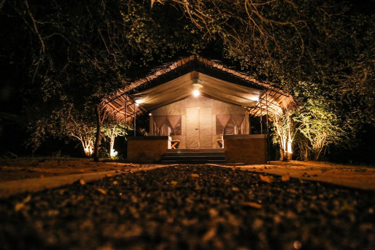 Luxury tent Yala Wild Hut - Yala Tissamaharama