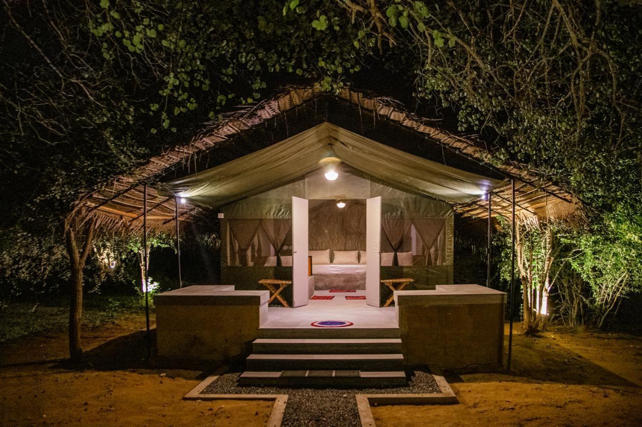 Luxury tent Yala Wild Hut - Yala