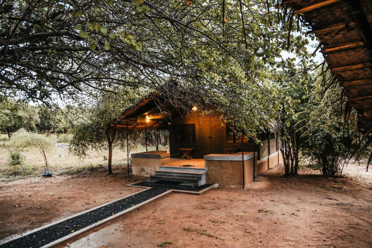 Yala Wild Hut - Yala