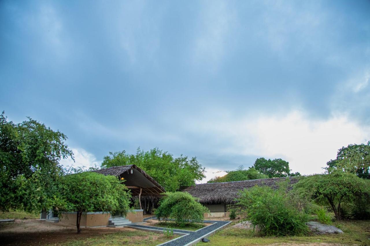 Yala Wild Hut - Yala *