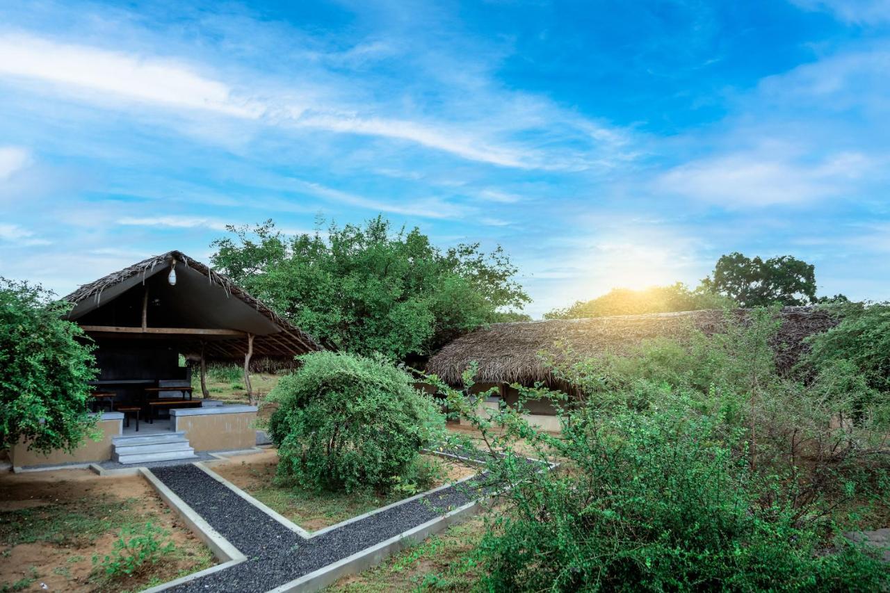 Yala Wild Hut - Yala Luxury tent *