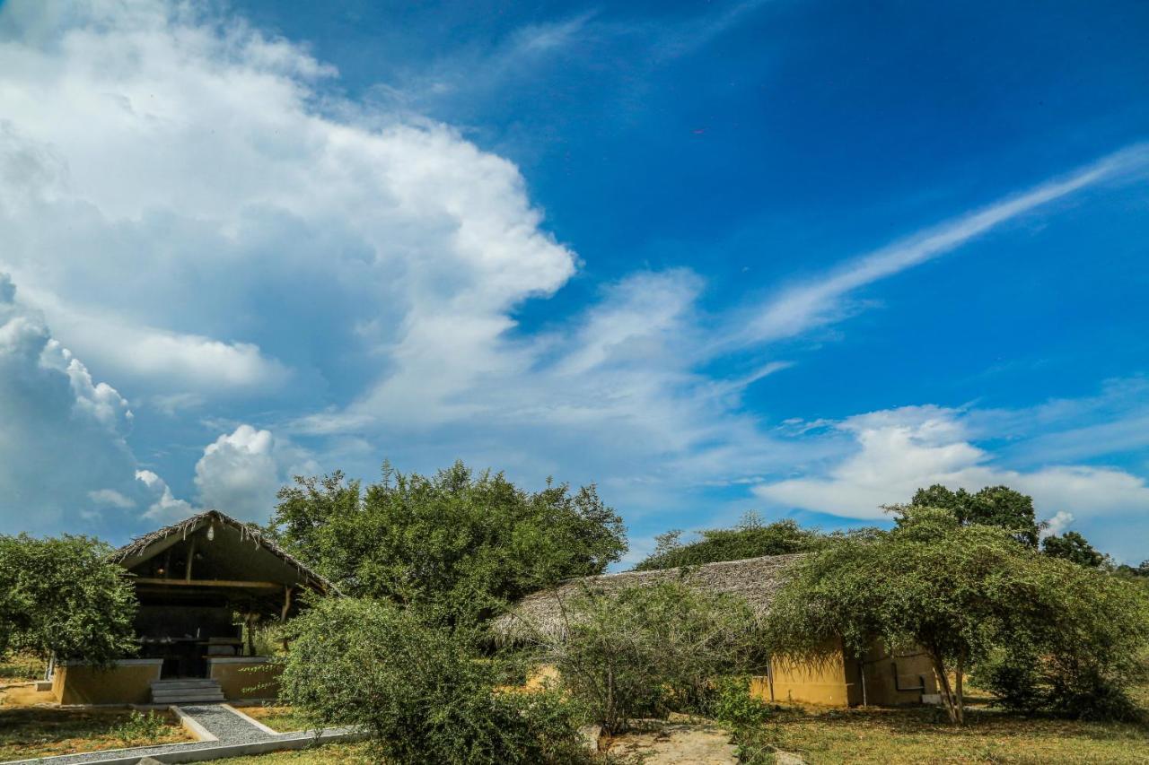 Yala Wild Hut - Yala *