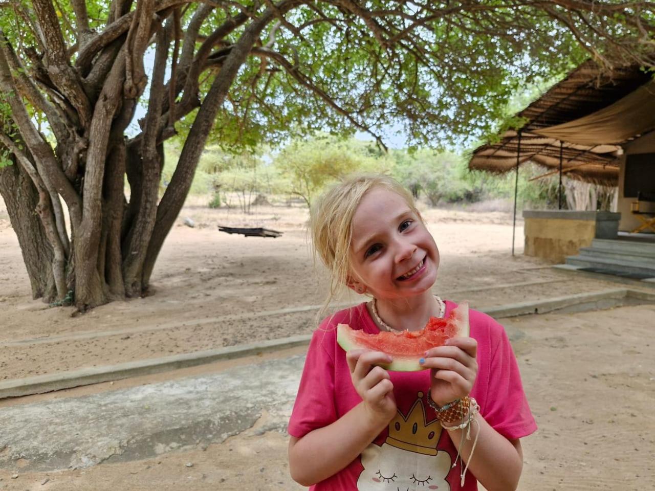 Luxury tent Yala Wild Hut - Yala Tissamaharama